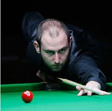 矿物和生物 矿物和生物